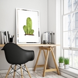 Tükor falikép Kaktusz Mirrora 68 - 60x40 cm