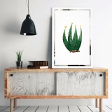 Tükor falikép Kaktusz Mirrora 69 - 60x40 cm